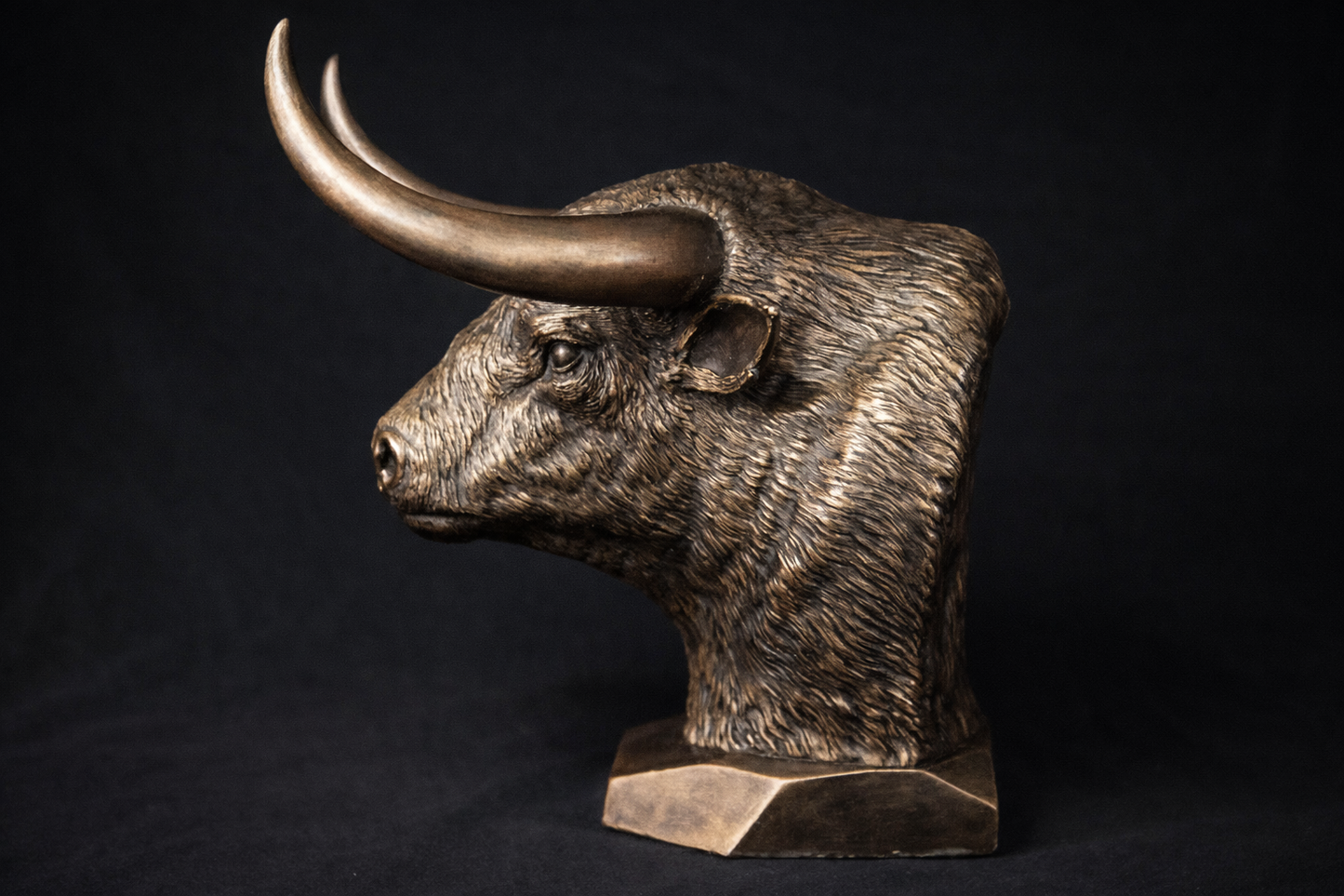 Majestic Bust - Limited Collector’s Edition