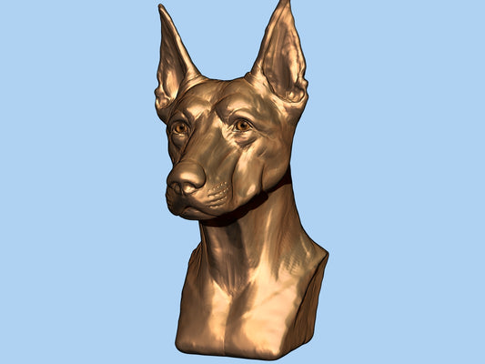 The Doberman Bust