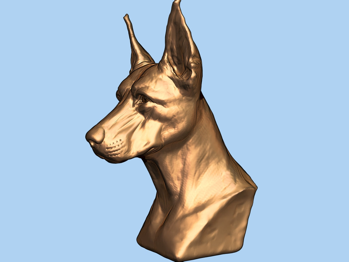 The Doberman Bust