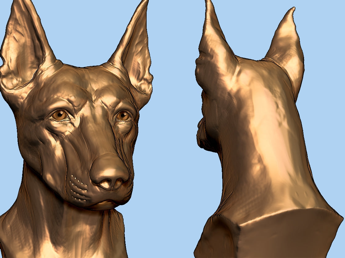 The Doberman Bust