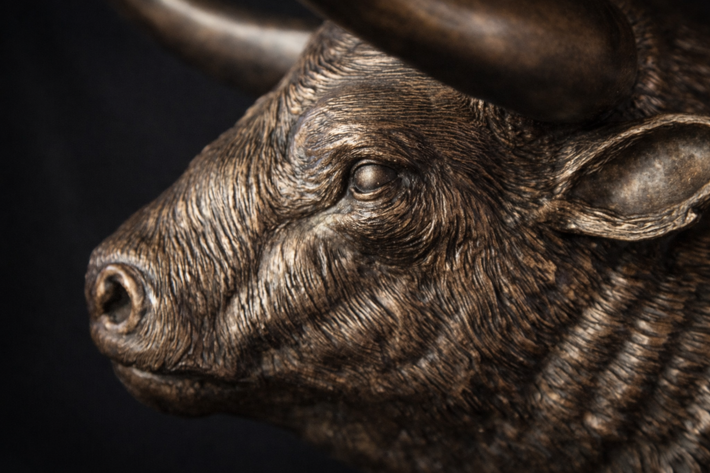 Majestic Bust - Limited Collector’s Edition